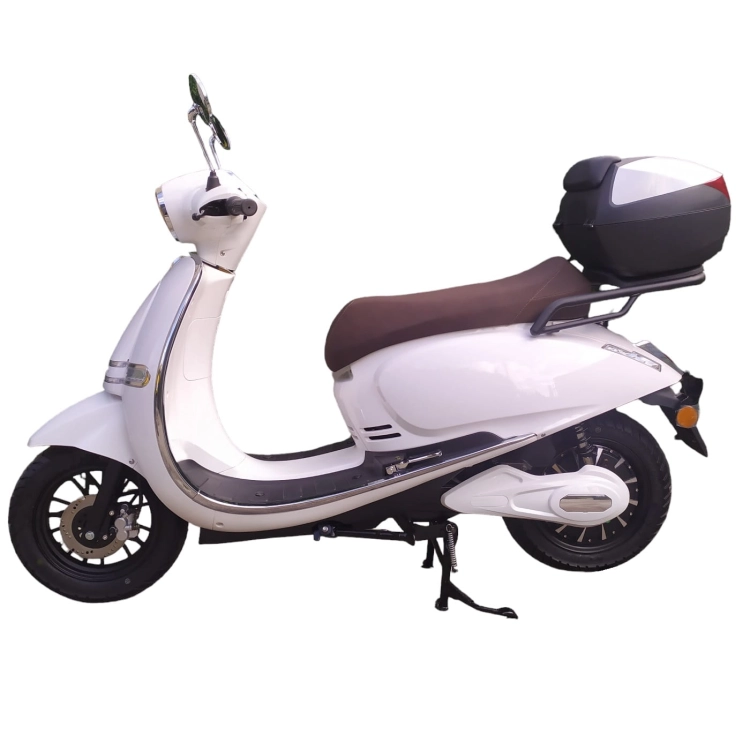 EFUN _Pusa_01c.jpg